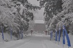 岩木山神社　参道　Iwaki-san shrine   Approach